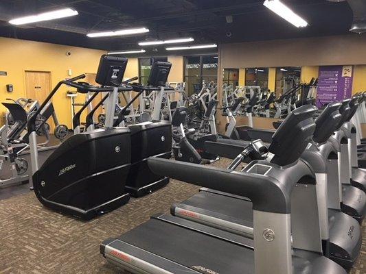 New Life Fitness equipment; Power Mills, Treadmills, and stationary bikes.