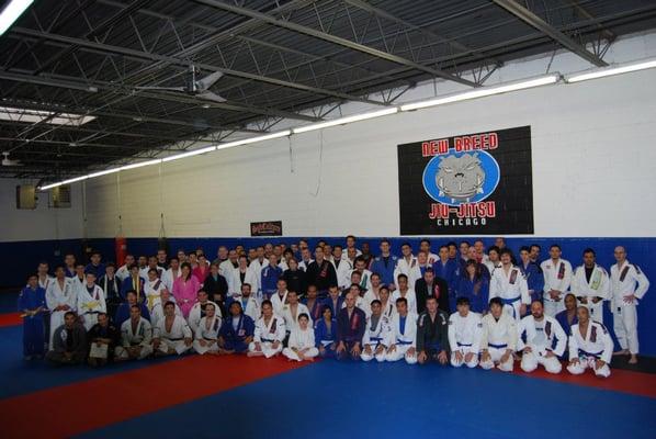 Just some of the Adult BJJ students at our recent Belt Promotions!