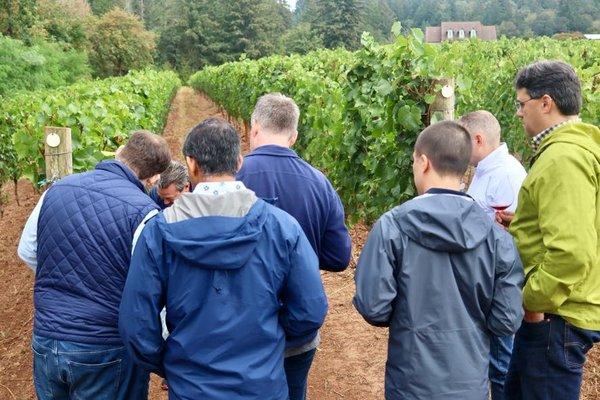 Co-owner and husband Jim Houchins giving us a tour of the Oliver Springs Vineyard.