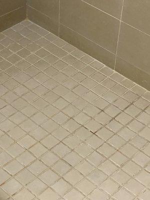 Dirty and mildewed shower floor