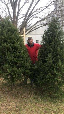 We have trees from 5 feet up to 15 feet.  For 11-to-15-foot trees please call 717-877-3319 to insure availability.