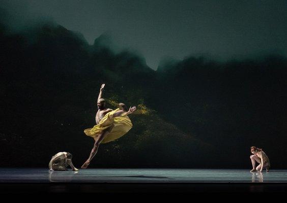 Alonzo King LINES Ballet 
Medical Provider