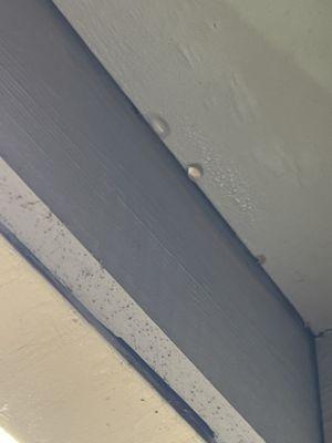 Leaking roof