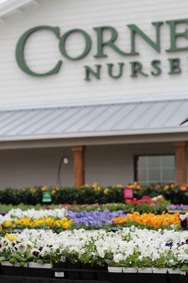 Cornelius Nursery