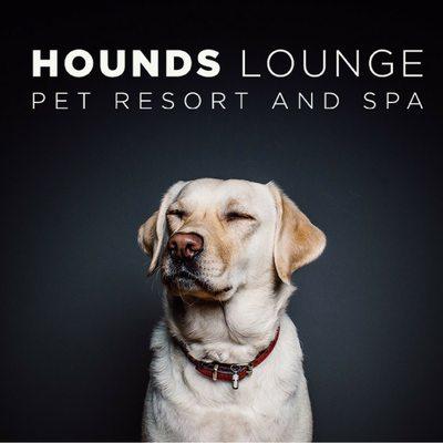 Hounds Lounge Pet Resort and Spa