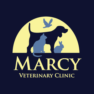 Marcy Veterinary Clinic