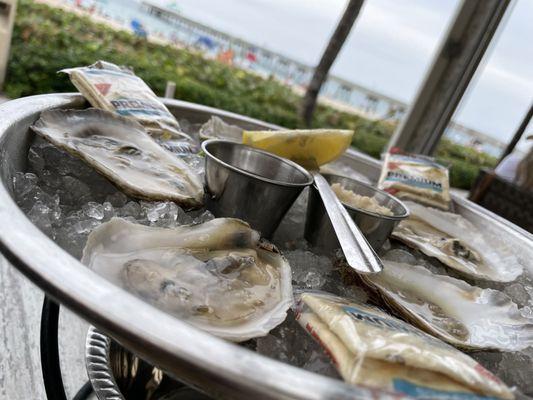 Delicious New York Oysters