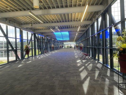 Pedestrian walkway from parking lot to building.