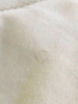 Pubic hair and stains on comforter on bed