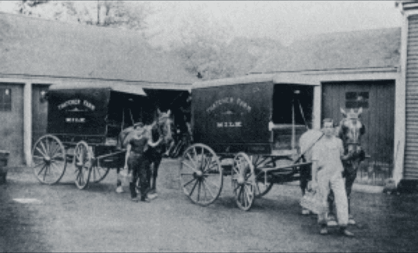 Early 1900 Milk Wagons headed out for milk delivery