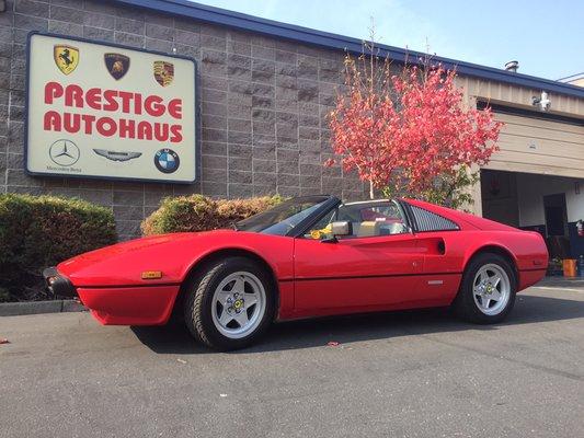 Ferrari 308 GTSI finished after clutch and service.