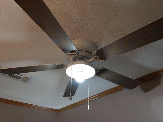 New ceiling fans