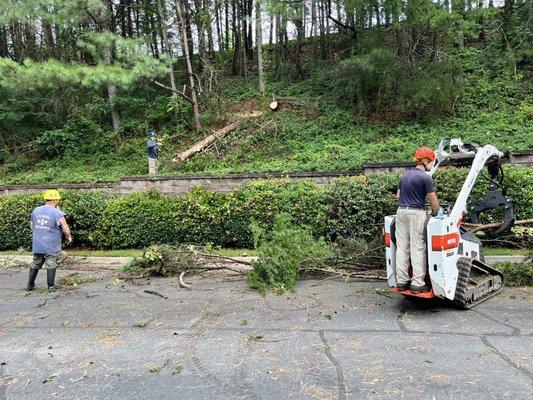 JH Heath Tree Service