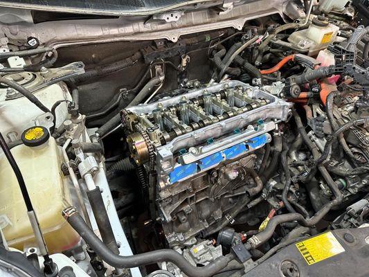 Prius headgasket repair, always using the highest quality parts available.