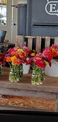 Fresh picked zinnias