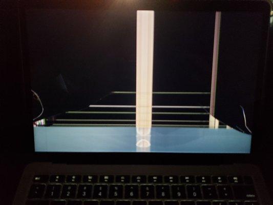 Their case for my new Macbook Air broke my screen when I tried to remove it.