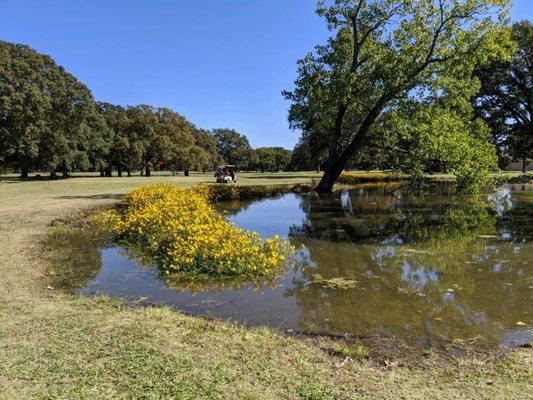 Deer Run Golf Course