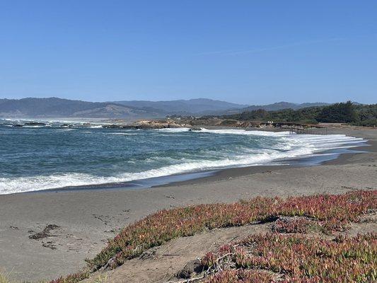 Coast trail