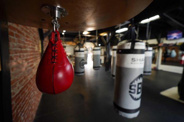 Speed bag