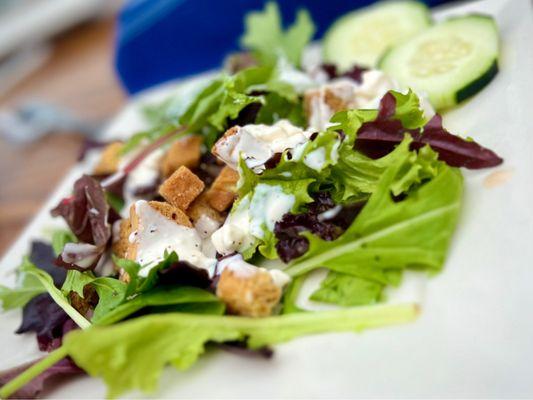 Side garden salad with blue cheese dressing