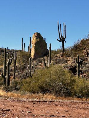 Scenery goes on for miles and miles of uninterrupted land