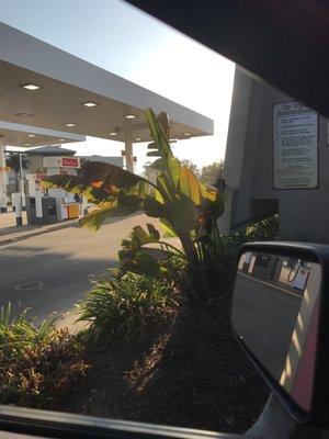 Car wash view.