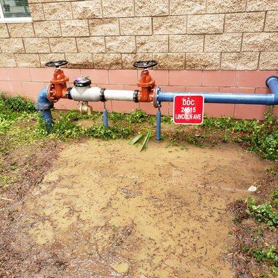 Backflow Replacement