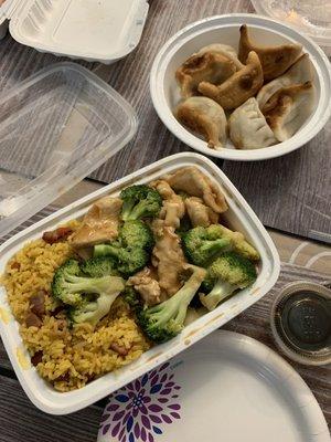 Fried Pork Dumplings on top and Chicken with Broccoli Combo Platter at the bottom