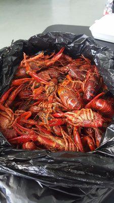 Best crawfish around!