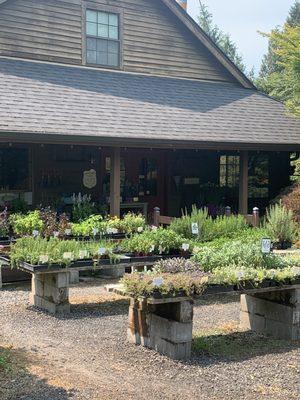 Plant nursery