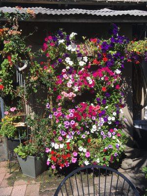 Lovely flowers at the entrance.