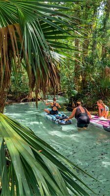 Rainbow Springs Paddle Board Adventure