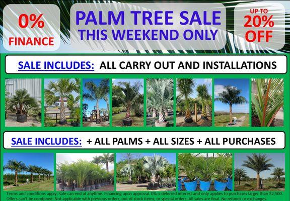 Sale On Palm Trees!!!
Join us this weekend for a huge sale at Palm Professionals Tropical Nursery