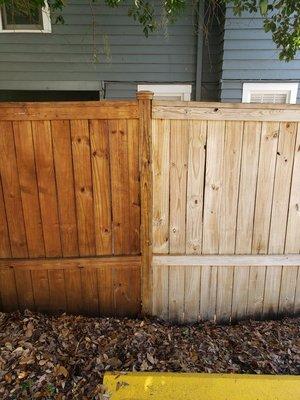 A fresh stain on your fence goes a long way!