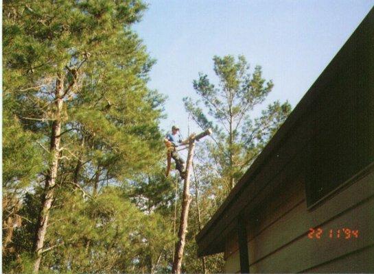 Michael, tree removal in 1994.