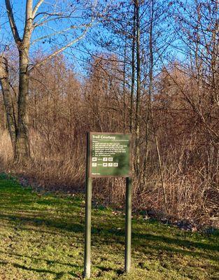 More trail information. Couldn't get closer in the muddy grass.