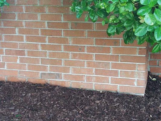 After pressure washing brick