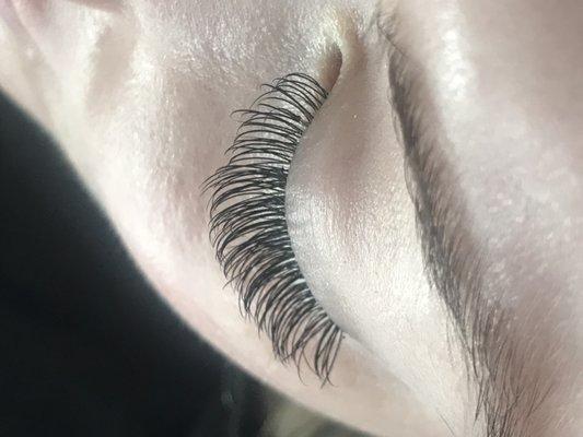 Classic lashes