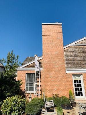 Yellow Jackets love making nests in soffits, corners of brick and siding materials, even near your front door!