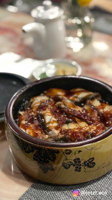 Unagi (eel) don (over rice)