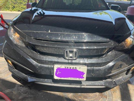 Disgusting front of car after paying for car wash