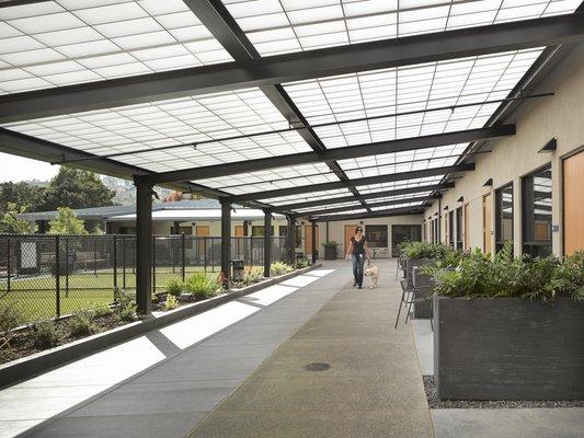 Covered courtyard outside of the residential rooms leading to fenced play runs for client use.