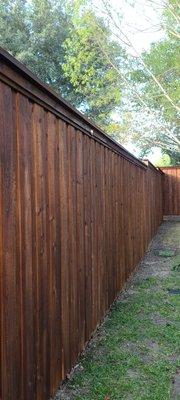 Cedar board on board fence