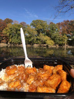 General tso tofu was delicious.