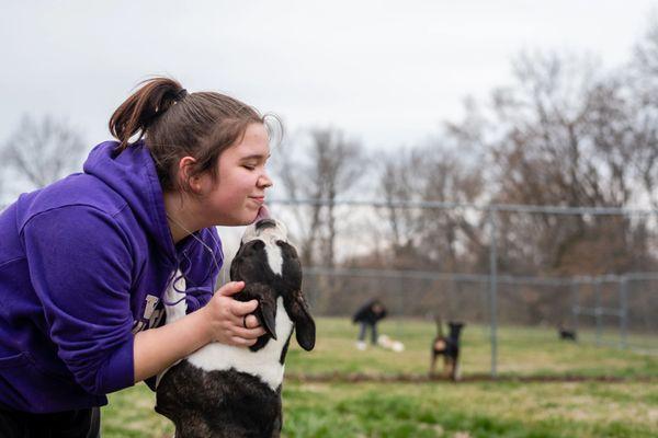 Bark Central Kennel & Pet Resort