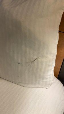 Hair on pillow