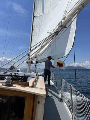 Hoisting the whale watching flag