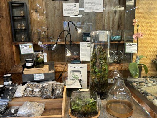 Terrariums and supplies