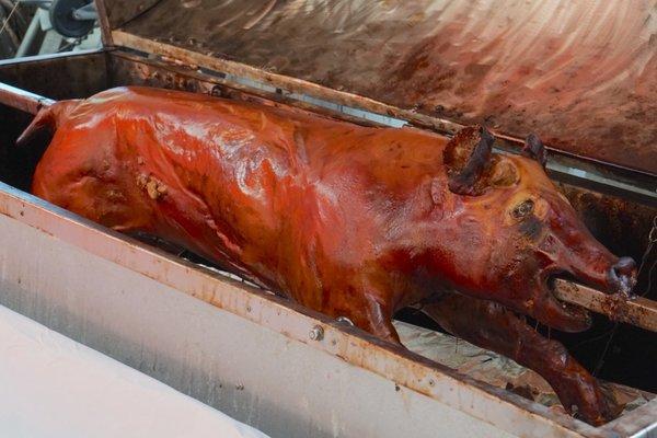 LECHON FILIPINO style cooked pig (70LBS) *fresh pig picked up from Chun's Meat *1/8/22