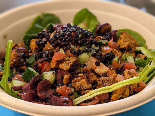 Bowl of Chicken on Spinach, topped with hummus, lentils, tomatoes, cucumbers, and olives.